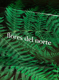 Caja “Helecho” Flores del norte - Nasei